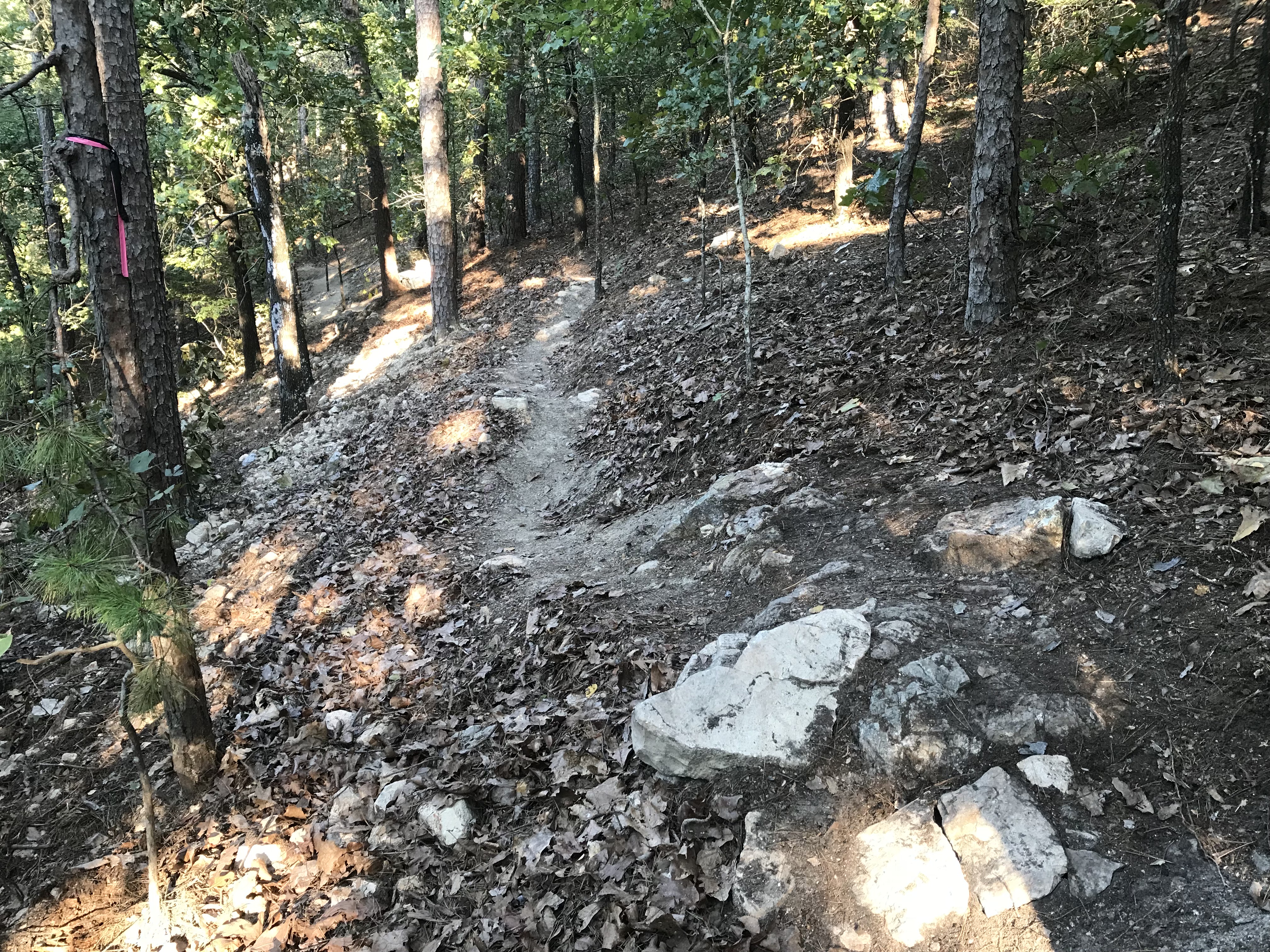 McGill Trail Design - Northwoods Trail Hot Springs, AR